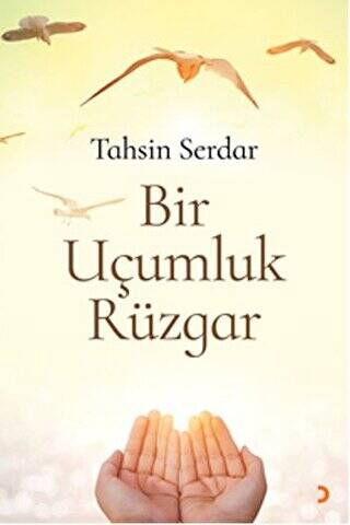 Bir Uçumluk Rüzgar - 1