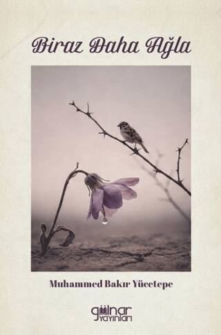 Biraz Daha Ağla - 1