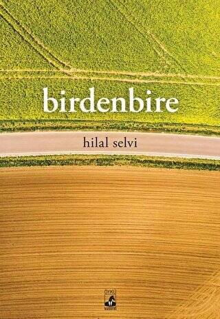 Birdenbire - 1