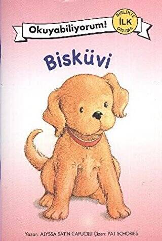 Bisküvi - 1