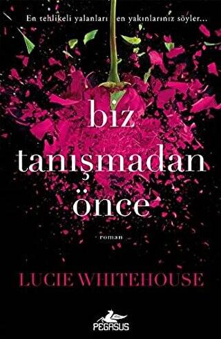 Biz Tanışmadan Önce - 1