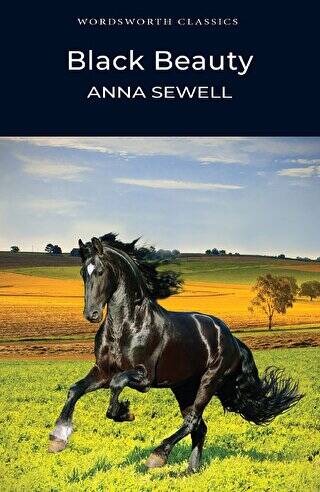 Black Beauty - 1