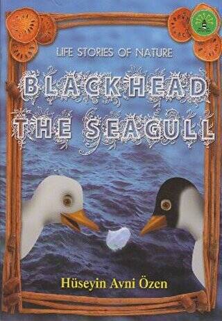 Black Head The Seagull - 1