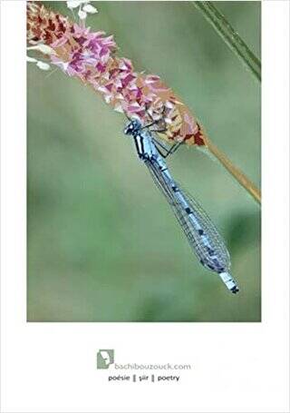 Böcekçiler Çarşısı - 1