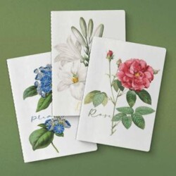 Botanik Serisi 3`lü Defter Seti - Yeşilay Yayınları