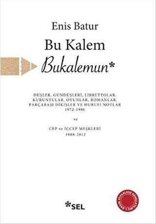 Bu Kalem Bukalemun - 1