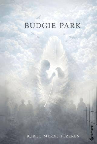 Budgie Park - 1