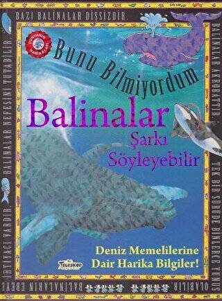 Bunu Bilmiyordum - Balinalar Şarkı Söyleyebilir - 1