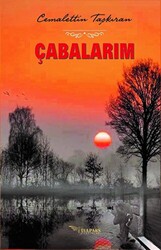Çabalarım - Tulpars Yayınevi