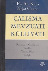 Çalışma Mevzuatı Külliyatı - 1