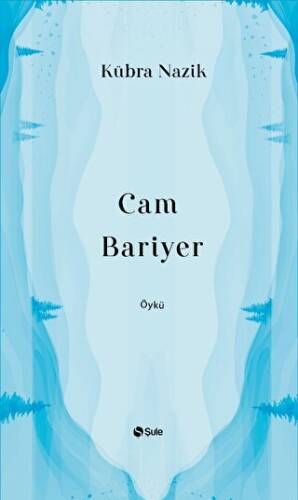 Cam Bariyer - 1