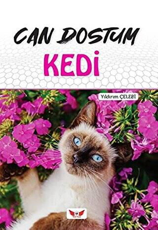 Can Dostum Kedi - 1