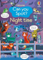 Can You Spot? Night Time - Usborne