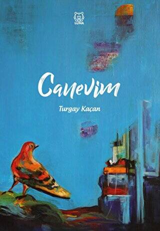 Canevim - 1