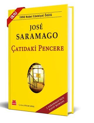 Çatıdaki Pencere - 1