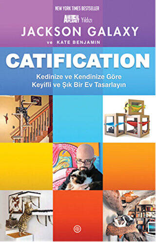 Catification - 1