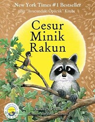 Cesur Minik Rakun - 1