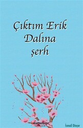 Çıktım Erik Dalına şerh - 1