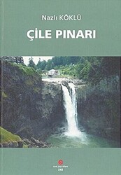 Çile Pınarı - 1