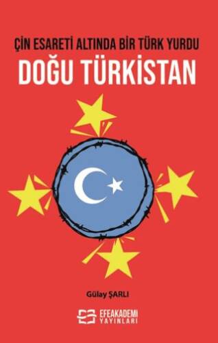 Çin Esareti Altında Bir Türk Yurdu: Doğu Türkistan - 1
