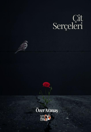 Çit Serçeleri - 1