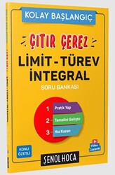 Çıtır Çerez Limit Türev İntegral - 1