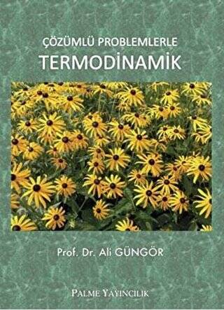 Çözümlü Problemlerle Termodinamik - 1