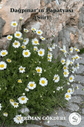 Dağpınar’ın Papatyası - Esinti Yayınları