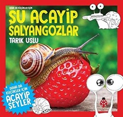 Daha da Küçükler İçin Şu Acayip Salyangozlar - 1