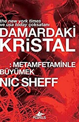 Damardaki Kristal: Metamfetaminle Büyümek - 1