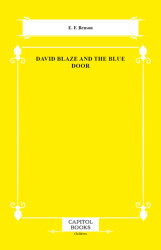 David Blaze and the Blue Door - Capitol Books