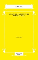 Delaware or the Ruined Family; A Tale - Capitol Books
