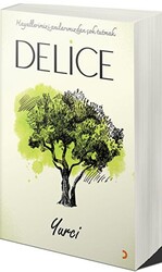 Delice - 1