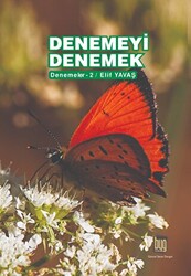 Denemeyi Denemek - 1