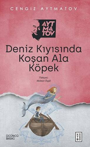 Deniz Kıyısında Koşan Ala Köpek - 1