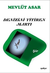 Denizini Yitiren Martı - 1