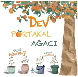 Dev Portakal Ağacı - 1