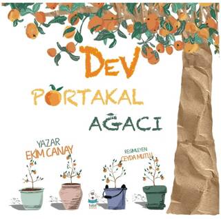 Dev Portakal Ağacı - 1