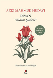 Divan - 