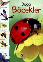 Doğa: Böcekler - 1