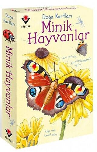 Doğa Kartları - Minik Hayvanlar - 1