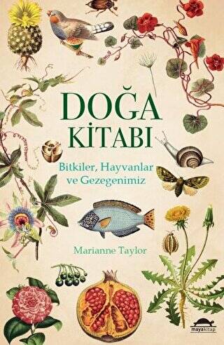 Doğa Kitabı - 1