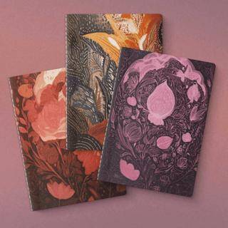 Doku Serisi 3`lü Defter Seti - 1