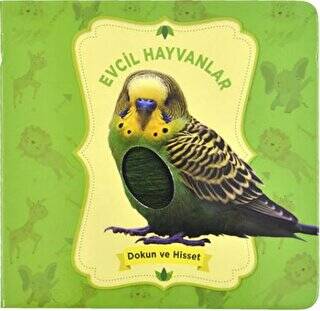 Dokun ve Hisset: Evcil Hayvanlar - 1