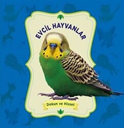 Dokun ve Hisset: Evcil Hayvanlar - 1