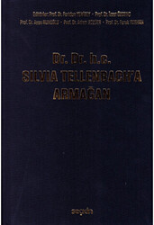 Dr. Dr. h.c. Silvia Tellenbach`a Armağan - Seçkin Yayıncılık