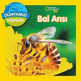 Dünyamızı Keşfedin - Bal Arısı - 1