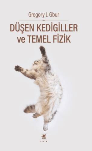 Düşen Kedigiller ve Temel Fizik - 1