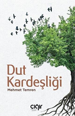 Dut Kardeşliği - 1