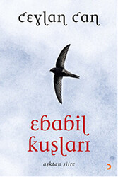 Ebabil Kuşları - Cinius Yayınları